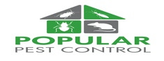 Pest Control Lucknow